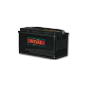 Royal 60038 Semi-Sealed Maintenance Free Battery